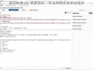 歪歪秋蝉 sss 渗透测试：专业网络安全测试服务