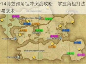 FF14博兹雅角祖冲突战攻略：掌握角祖打法技巧与战术