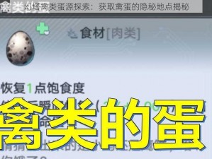 幻塔禽类蛋源探索：获取禽蛋的隐秘地点揭秘