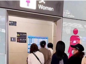 中国精品女厕 toilet22，时尚舒适的女性专用空间