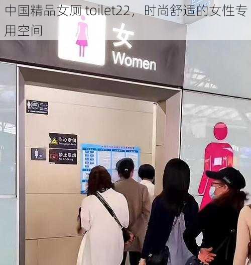 中国精品女厕 toilet22，时尚舒适的女性专用空间